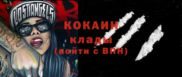 apvp Гатчина