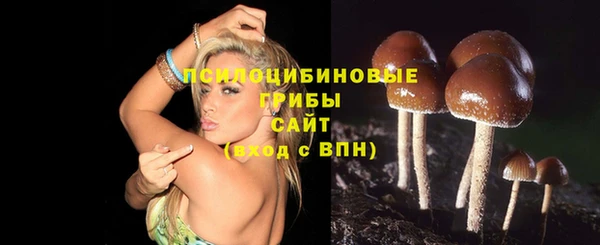 скорость Магас