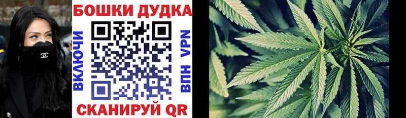 Бошки Шишки марихуана  даркнет состав  Лодейное Поле 